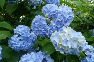 8faa3bb3a43a62cc671c59a95abe7d71_s.jpg