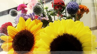 IMG_20180704_142338.jpg